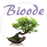 Massage bien-etre intuitif Gennes vals de Loire, Bioode 49